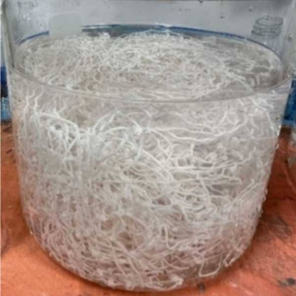 Peflon PEEK-Material