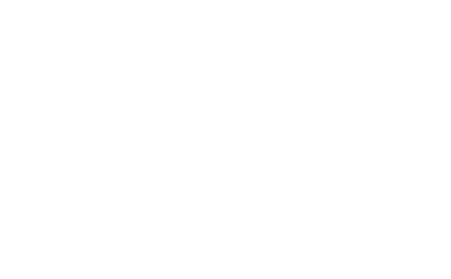Peflon